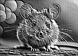 Skamielina