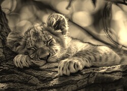 Sepia