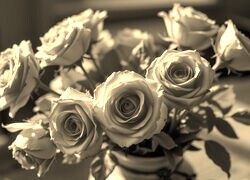 Sepia