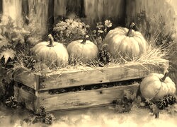 Szary + Sepia