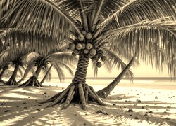 Szary + Sepia