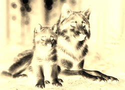 Sepia + Negatyw