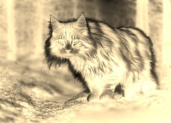 Sepia + Negatyw