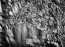 Skamielina