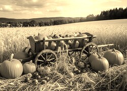 Szary + Sepia