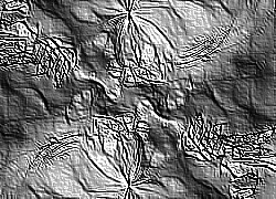 Skamielina