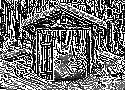 Skamielina