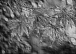Skamielina