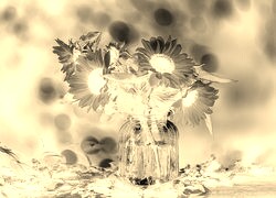 Sepia + Negatyw