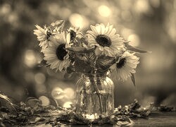 Szary + Sepia