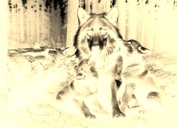 Sepia + Negatyw