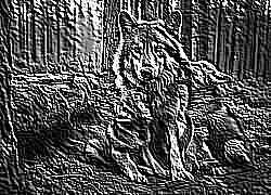 Skamielina