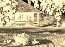Sepia + Negatyw