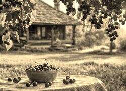 Sepia