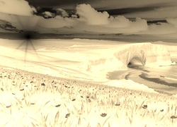 Sepia + Negatyw