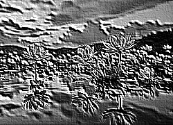 Skamielina