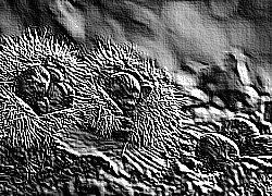 Skamielina