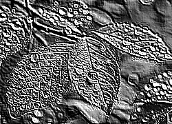 Skamielina
