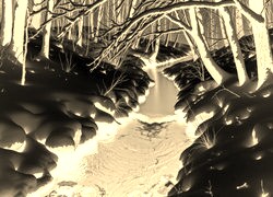 Sepia + Negatyw
