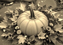 Szary + Sepia