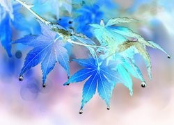 Negatyw