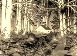 Sepia + Negatyw