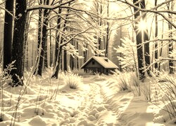 Sepia