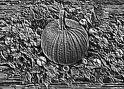 Skamielina