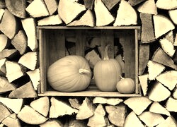 Szary + Sepia