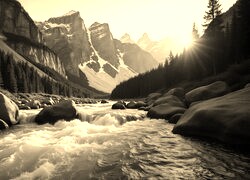 Sepia