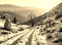 Szary + Sepia