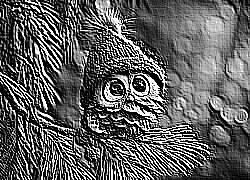 Skamielina