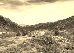 Szary + Sepia
