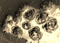 Sepia + Negatyw