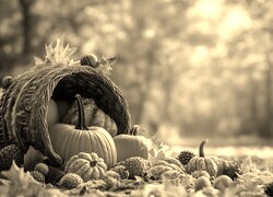 Szary + Sepia