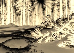 Sepia + Negatyw