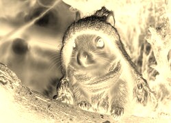 Sepia + Negatyw