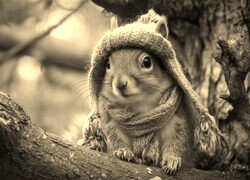 Sepia
