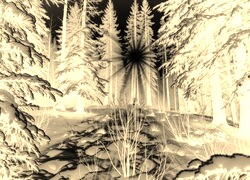 Sepia + Negatyw