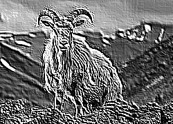 Skamielina