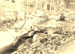 Sepia + Negatyw