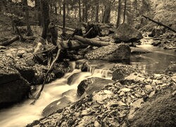 Sepia