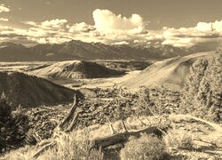 Szary + Sepia
