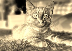 Sepia + Negatyw