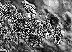 Skamielina