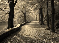Szary + Sepia