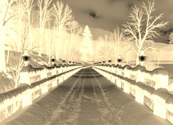 Sepia + Negatyw