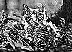 Skamielina