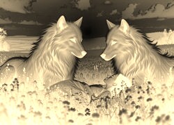 Sepia + Negatyw