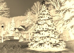 Sepia + Negatyw